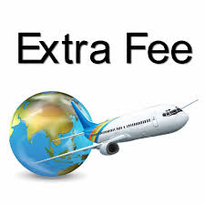 Additional Shipping Fee